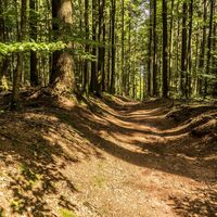 Blick auf den Wanderweg