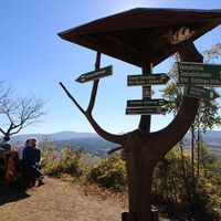 Großer Hörselberg am Abzweig nach Schönau