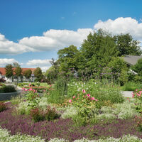 Rosengarten Rheda