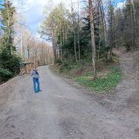 Forststraße nach der Augustinerhütte