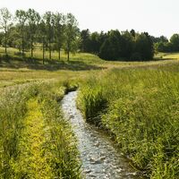 Heidenwuhr auf freier Flur