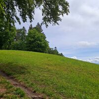 Aufstieg zum Ulmiz - Schwarzenburg-Köniz Trailrun