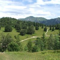 Prati di Passo Nota