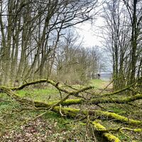 Gleichbergblick - Sitzgruppe Wolfmannshausen