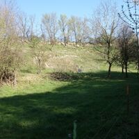 im Linatalgraben