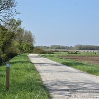 Entre vignes et marais5