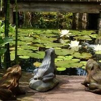 Der Garten eines Trödlers - Barr