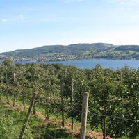 Blick vom Panoramaweg