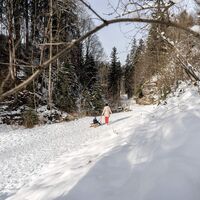 Soell_Familie_Rodel_Winterwandern_Winter_Wilder Kaiser