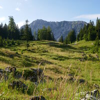 nochmals der Blick zum Bosruck