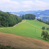 Rückweg