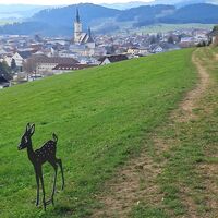 Weg mit Aussicht am Rohrbach-Berger Raetselweg