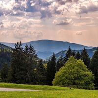 Aussicht nähe Kandel