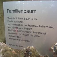 Station 5 Familienbaum - 2