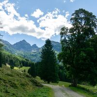 Auffahrt_Richtung_Stanglalm_Fünf-Berge-Runde