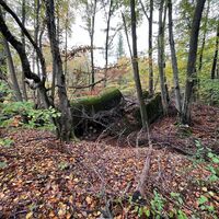 Relikte am Westwall Weg