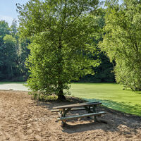 Wingster Wald