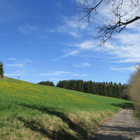 Wehr 10