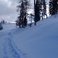 Ochsenrunde_Weg Ochsenstand Richtung eh. Wölkartlift