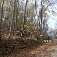 am Weg "Steiniger Weg" im "Steiniger Wald"