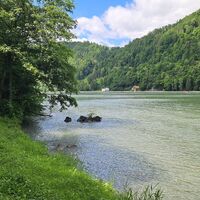 Holzboote auf der Donau