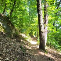 Rodalber Felsenwanderweg