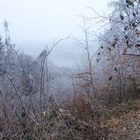 Abstieg am unteren Steig vom Toten Berg