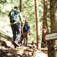auf dem Weg zum Fluderwasserfall