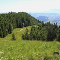 Blick zur Kappeler Alp