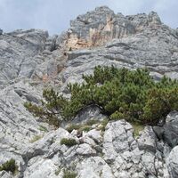 Bildmitte,oben: Bergführerquergang