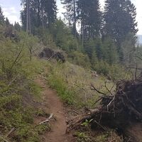 15.9 Single vom Eisenpass