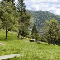 Ruheplatz in der Nähe der Zweribach Wasserfälle