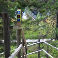 Pöllylammen Treppen, Vuokatti Finnland