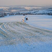 Rund um den Glockenberg ab/bis Ulrichskirchen