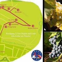Lageplan Weinlehrpfad