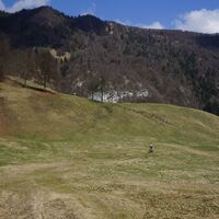 Die Wiesen neben der Malga Grassi