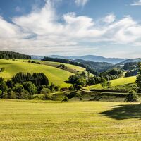 Blick auf Berge Wald und Wiesen