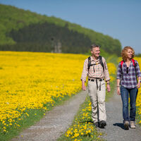 Wandern im Sorpetal