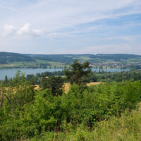 Blick vom Kattenhorner Bühl auf den Rheinsee