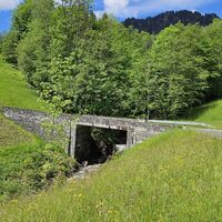 Naturschutzgebiet Auer Ried