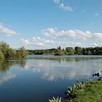 Boves_Naturschutzgebiet_ÉtangStLadre (21)
