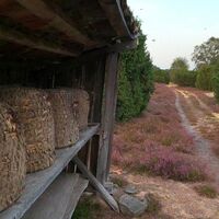Bienenstand in der Ellerndorfer Heide