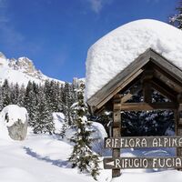 Fuciade - Alpenflora ©Archivio APT Val di Fassa