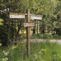 Rothaarsteig-Wegweiser auf dem Abschnitt Rodenbach - Dillenburg