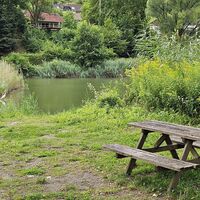 Reiher am Donaudamm