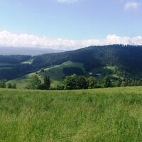 Durch_einen_schönen_Hochwald_Ausblick