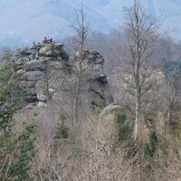 Blick vom Hochstand zum Hohen Stein