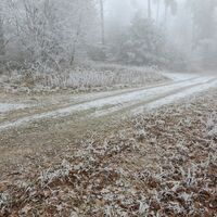 weiter am Wanderweg zum Pemexel