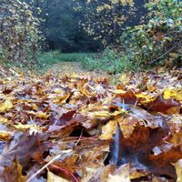 In den Tälern von Dreba und Plothenbach