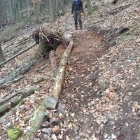 Instandhaltung der Trails